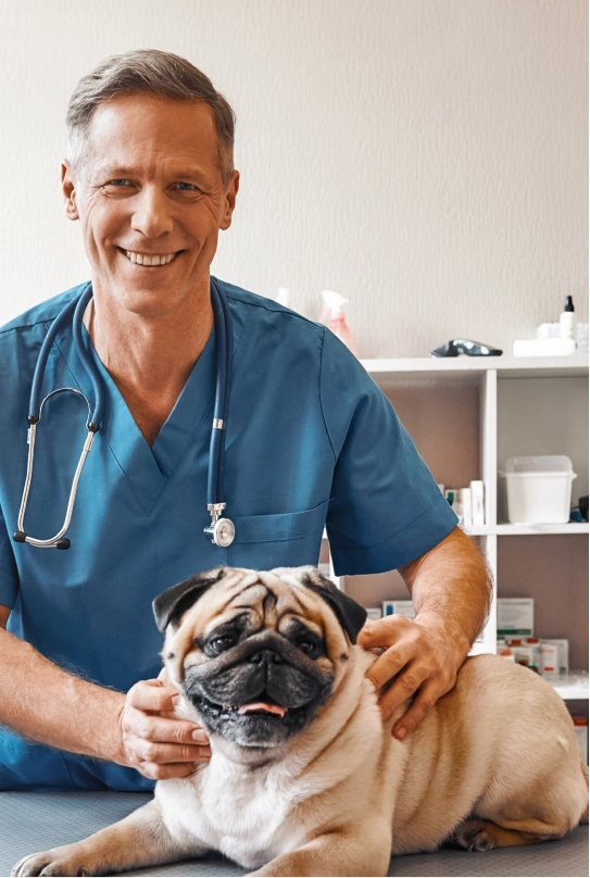 Veterinary clinic processing a card payment with Helcim terminal and practice software