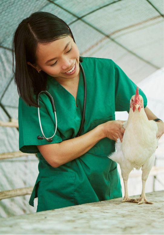 Vet staff reviewing pet records with Helcim terminal nearby