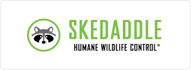 Skedaddle