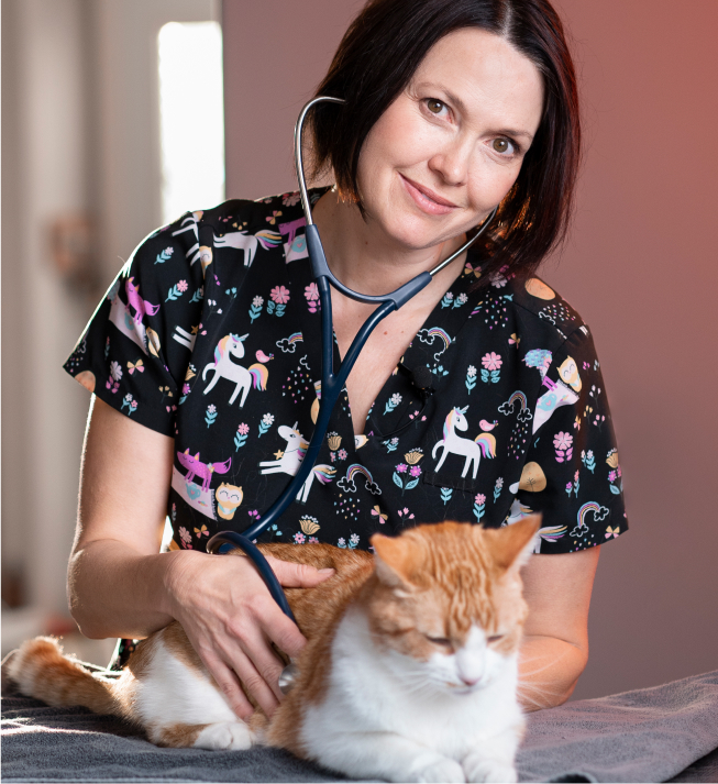 Veterinarian taking care of a cat