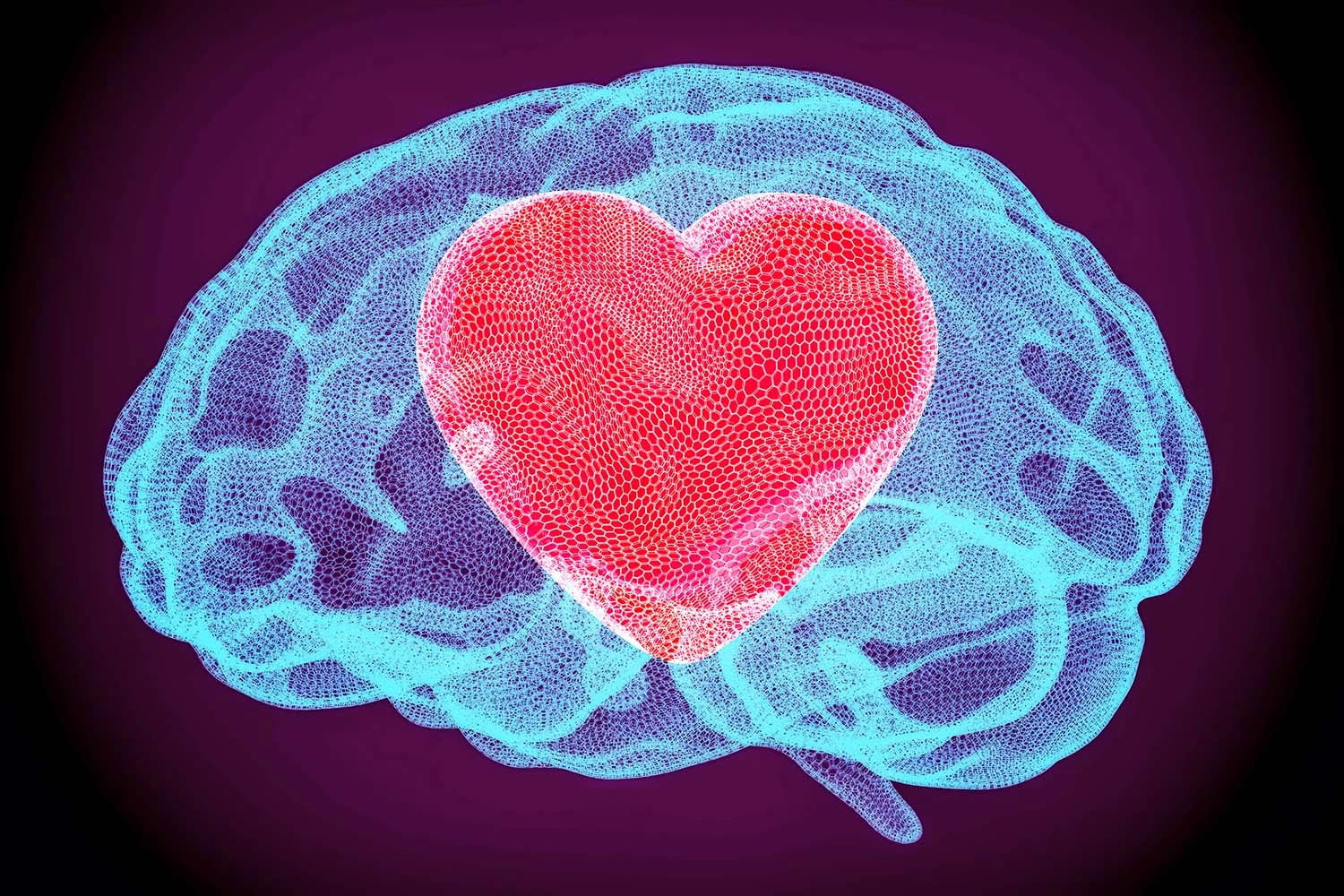 heart and brain overlapping one another.