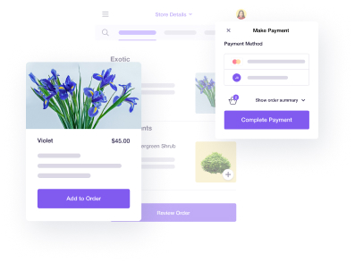 Online checkout ecommerce user interfaces