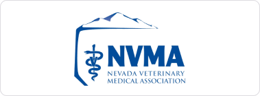 NVMA