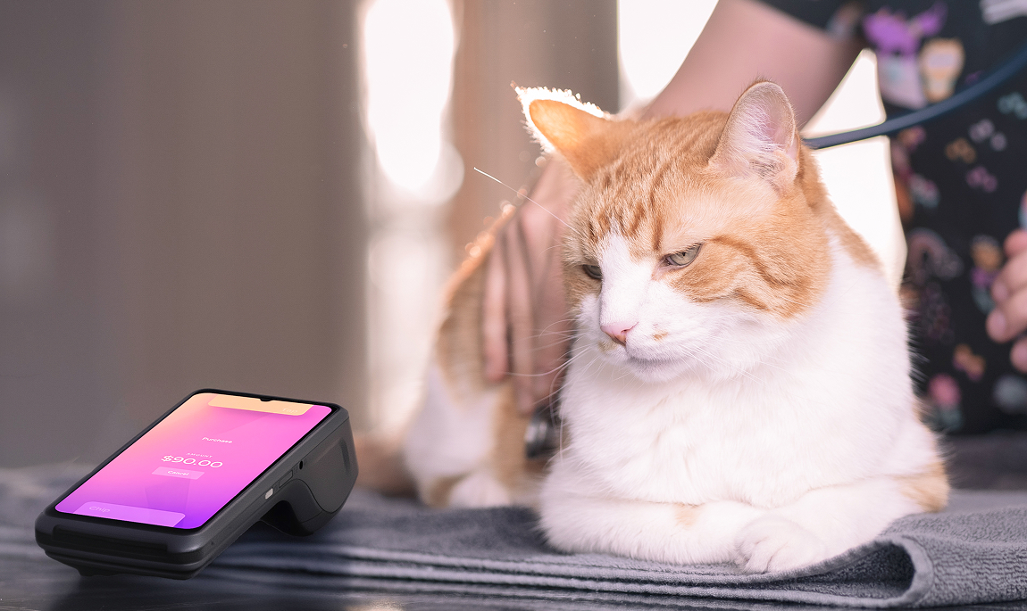 Cat is getting rest next to Smart Terminal