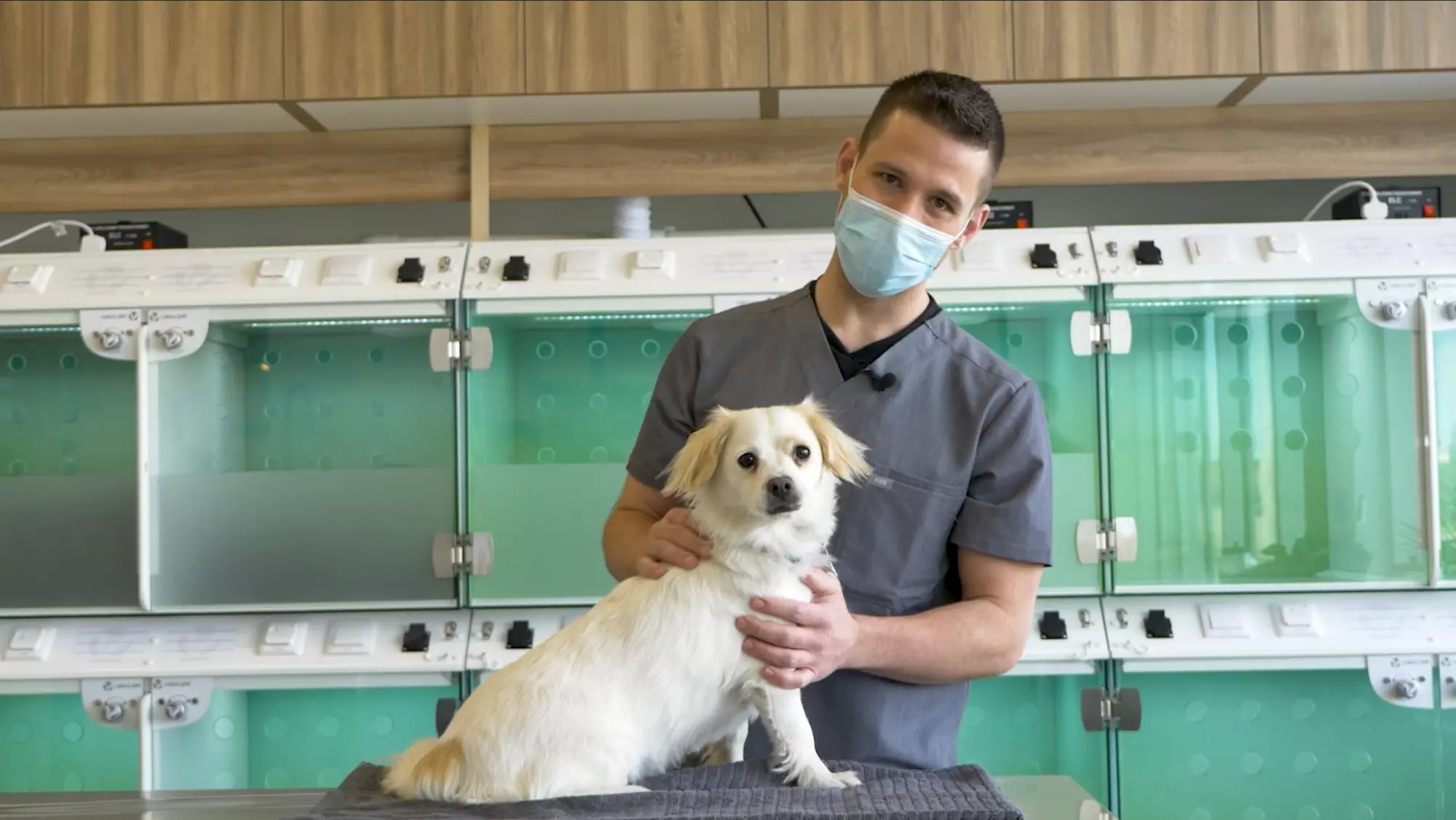 Veterinarian from FenVet posing with a dog