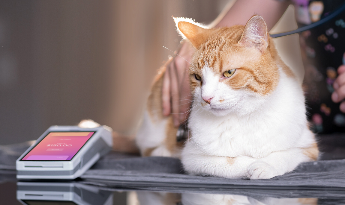 Cat is getting rest next to Smart Terminal