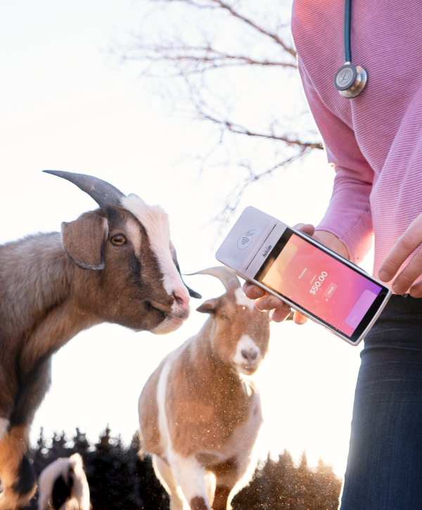 Veterinarians On-the-go image